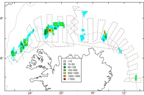 Fyrsta yfirferð loðnuleitar 2020
