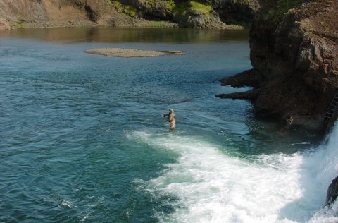 Ljósm. Hafrannsóknastofnun