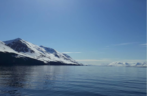 Ljósm. Hafrannsóknastofnun - https://www.instagram.com/hafrannsoknastofnun/