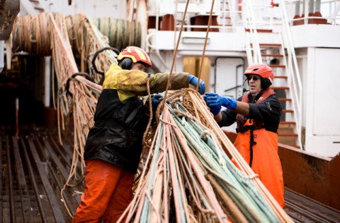 Niðurstöður úr stofnmælingu botnfiska á Íslandsmiðum 2017