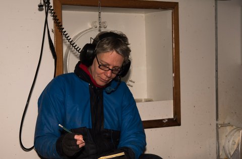 Ljósm. Svanhildur Egilsdóttir