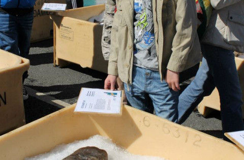 Hátíð hafsins um helgina