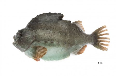 Mynd: Svanhildur Egilsdóttir