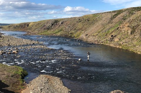 Frá Hrútafjarðará. Mynd fengin að láni frá strengir.is.