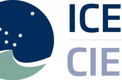 Alþjóðahafrannsóknaráðið veitir ráð um aflamark deilistofna