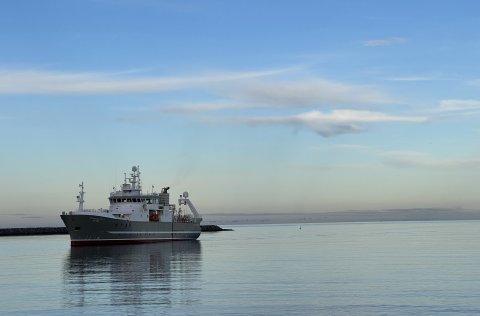 Þórunn Þórðardóttir  HF 300 að sigla til heimahafnar. Skipið sinnir nú síldar- og sjórannsóknum.