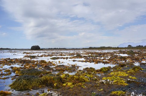 Ljósm. Svanhildur Egilsdóttir.