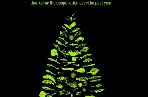 Merry Christmas and a Happy New Year