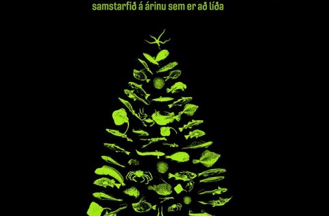 Jólakveðja frá Hafrannsóknastofnun