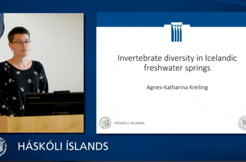 Mynd: Leivur Janus Hansen