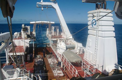 Ljósm. Julian Burgos