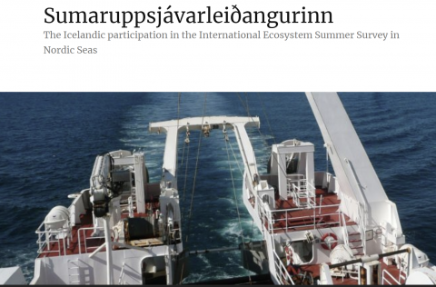 Myndin er af heimasíðu leiðangursbloggs.