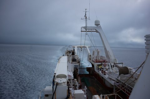 Árni Friðriksson við mælingar innan um “pönnukökuís” í Grænlandssundi. 
Ljósm. Birkir Bárðarson.