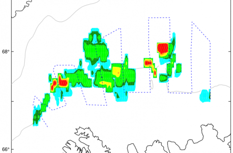 Útbreiðsla loðnu samkvæmt könnun á Polar Amoroq 20.-25. nóvember. Á eystri hlutanum var hrygningarlo…