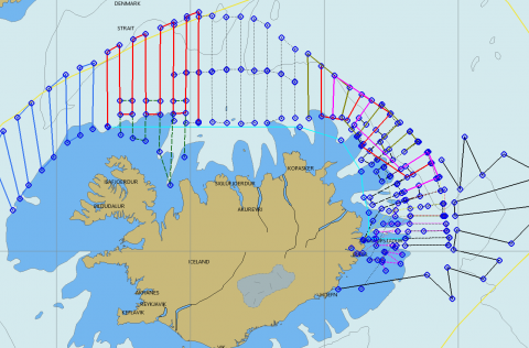 Áætlaðar leiðarlínur skipanna sem eru nú við loðnumælingar