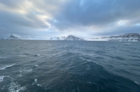 Falleg fjallasýn blasti við loðnuleitarfólki.