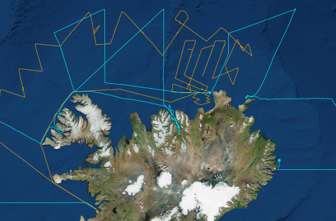 Loðnumælingar í febrúar breyta ekki fyrri ráðgjöf
