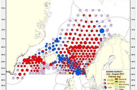 Niðurstöður makrílleiðangurs sumarið 2017
