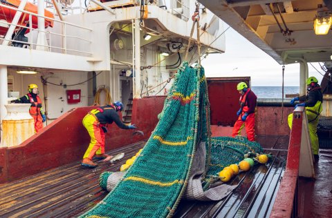 Mynd: Rut Sigurðardóttir.