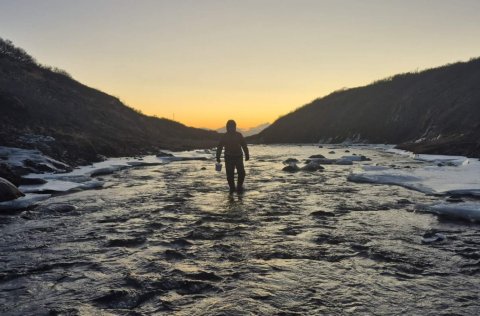 Síðustu erfðasýnatökur ársins úr laxseiðum