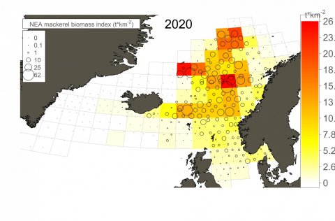 Mynd 1. Vísitala um magn makríls reiknuð fyrir reiti (2 breiddargráður og 4 lengdargráður) í júlí 20…
