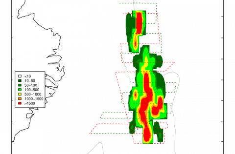 Dreifing loðnu í mælingum daganna 17.-20. janúar 2021