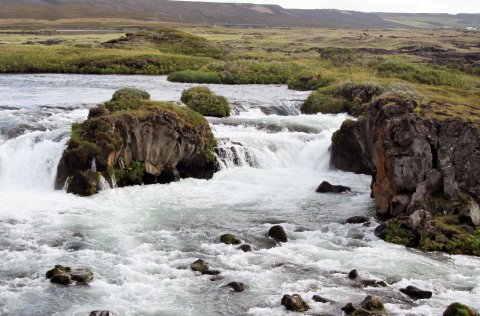 Ljósm. Hafrannsóknastofnun