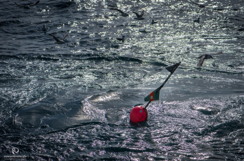 Ráðgjöf fiskveiðiárið 2018/2019 kynnt