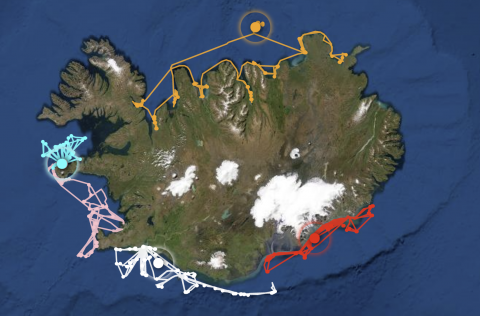 Mynd er tekin af vef Hafrannsóknastofnunar
