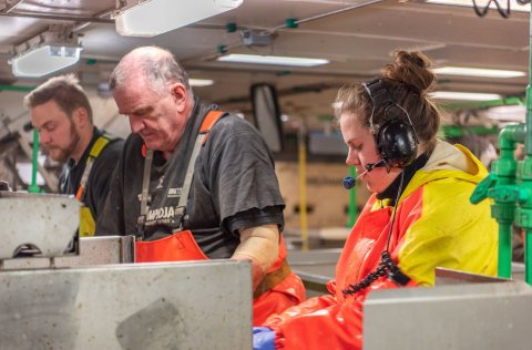 Ljósm. Svanhildur Egilsdóttir