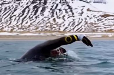 The Great Scientific Swim around Iceland