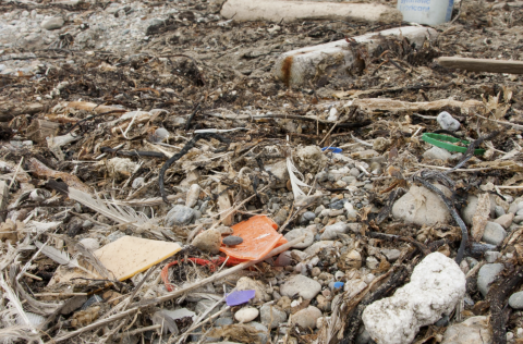 Mynd er klippt af ráðstefnuvef