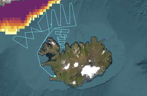 Leiðarlínur Árna Friðrikssonar 12.-21. febrúar ásamt dreifingu hafíss norðvestan við Ísland.
