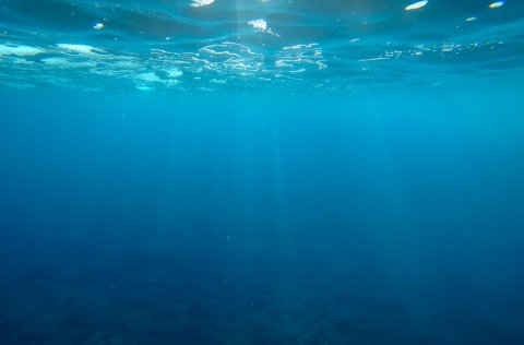 Postdoctoral Researcher Position for the BioProtect Project