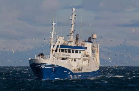 Capelin advice increased to 197 thousand tonnes