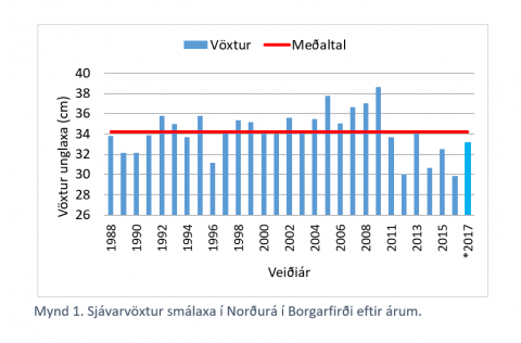 Sjávarvöxtur eins árs laxa nálægt meðaltali