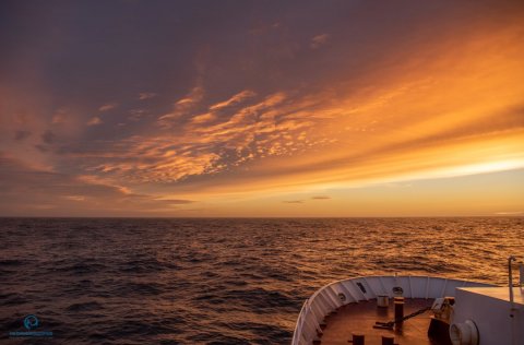 Ljósm. Svanhildur Egilsdóttir