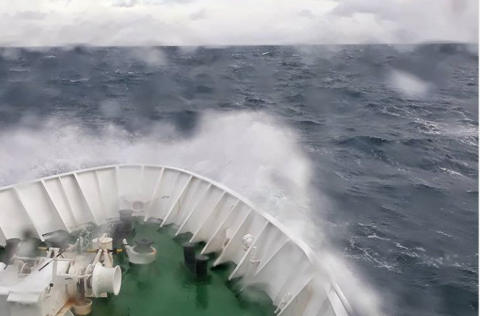 Ljósm. Hafrannsóknastofnun