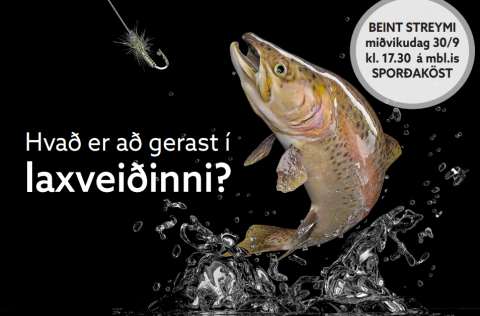 Mynd með auglýsingu mbl.is