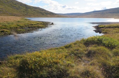 Upptaktur að veiðisumri