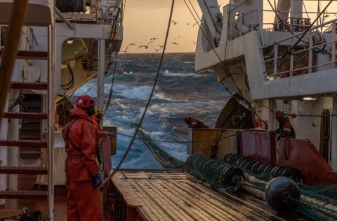 Ljósm. Svanhildur Egilsdóttir