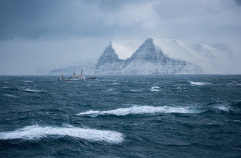 Ljósm. Svanhildur Egilsdóttir