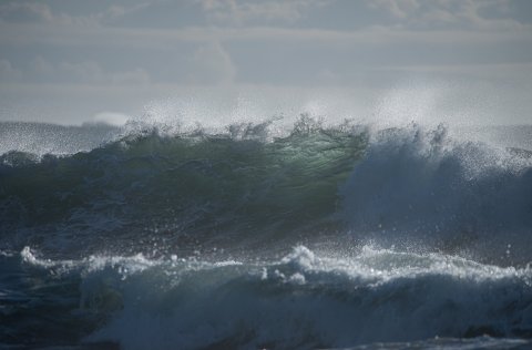 Ljósm. Svanhildur Egilsdóttir