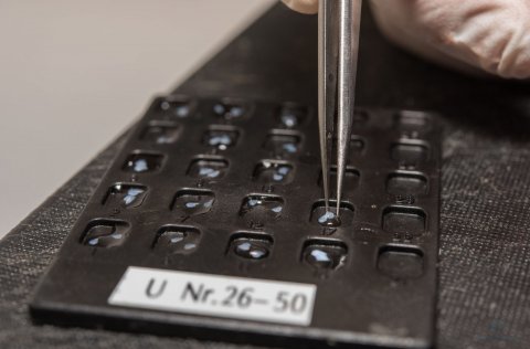 Ljósm. Svanhildur Egilsdóttir