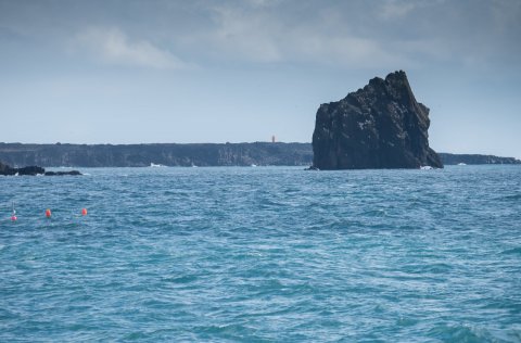 Ljósm. Svanhildur Egilsdóttir