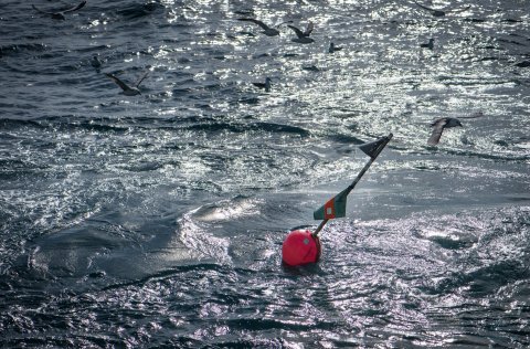 Ljósm. Svanhildur Egilsdóttir.