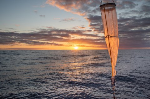 Ljósm. Svanhildur Egilsdóttir