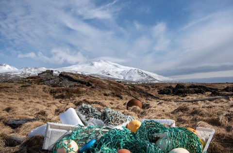 Ljósm. Svanhildur Egilsdóttir