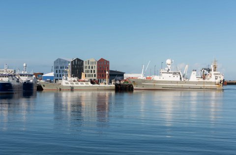 Ljósm. Svanhildur Egilsdóttir