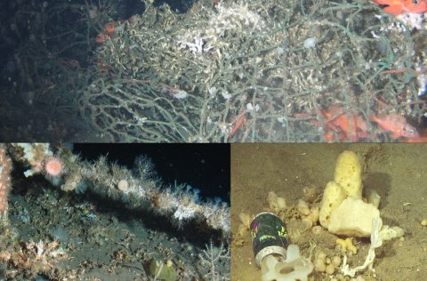 Dæmi um rusl sem fannst. Efst er trollnet sem fannst í Skeiðarárdjúpi árið 2019 flækt við kóralrif á…